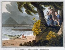 Egyptians, Crocodile Catching 1813. Creator: Matthew Dubourg