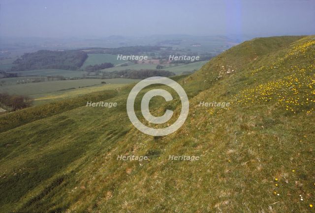 Eggardon Hill, Dorset, England, 20th century. Artist: CM Dixon.