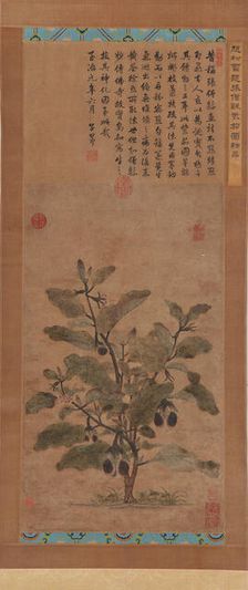 Eggplant, Ming dynasty, 1368-1644. Creator: Unknown