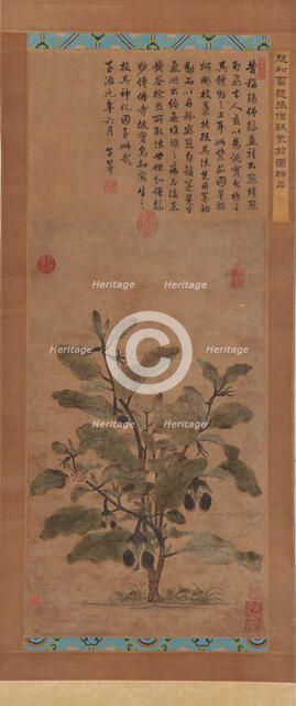 Eggplant, Ming dynasty, 1368-1644. Creator: Unknown.