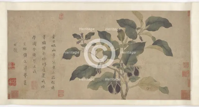 Eggplant, Yuan or Ming dynasty, 14th century. Creator: Unknown.