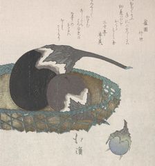Eggplants in a Basket, 19th century. Creator: Totoya Hokkei