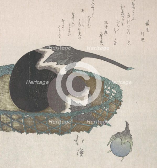 Eggplants in a Basket, 19th century. Creator: Totoya Hokkei.