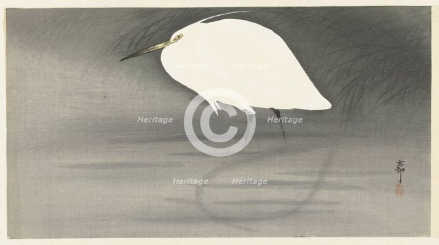 Egret. Creator: Ohara, Koson (1877-1945).