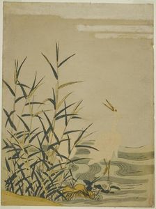 Egrets in the Reeds, c. 1774. Creator: Isoda Koryusai