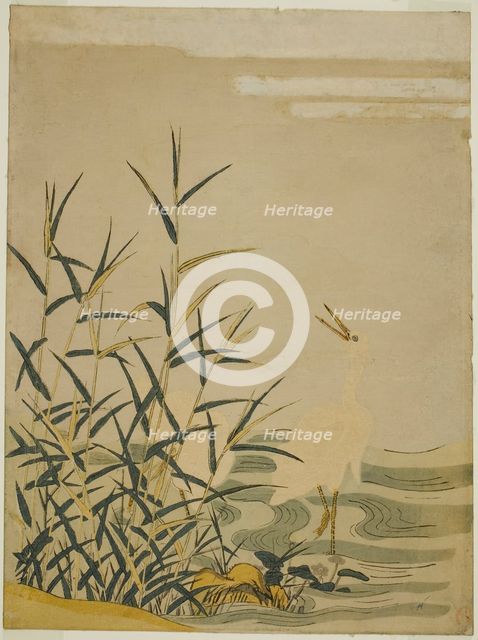 Egrets in the Reeds, c. 1774. Creator: Isoda Koryusai.
