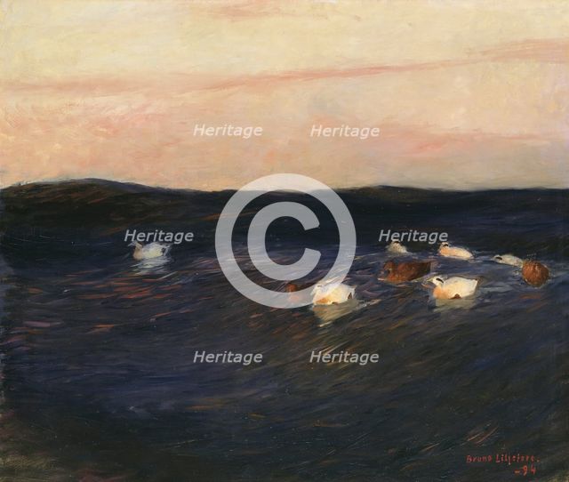 Eider Ducks, 1894. Creator: Bruno Liljefors.