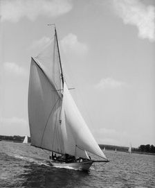 Eidolon, 1895 June 15. Creator: John S Johnston