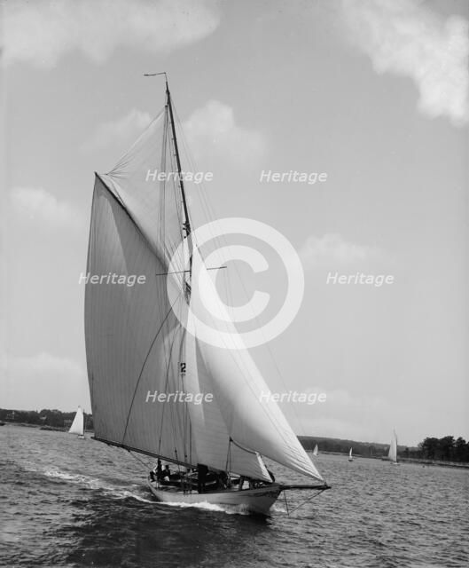 Eidolon, 1895 June 15. Creator: John S Johnston.
