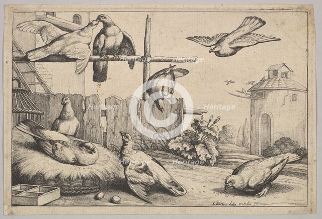 Eight doves, 1625-77. Creator: Wenceslaus Hollar.