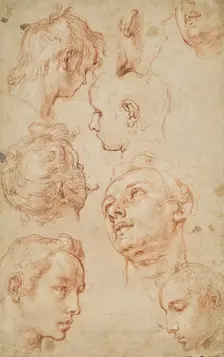 Eight studies of male heads. Creator: Abraham Bloemaert