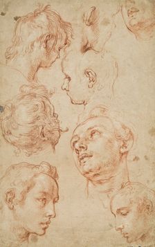 Eight studies of male heads. Creator: Abraham Bloemaert