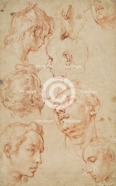 Eight studies of male heads. Creator: Abraham Bloemaert.