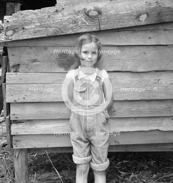 Eight year old daughter who helps about the tobacco barn..., Granville County, North Carolina, 1939. Creator: Dorothea Lange.