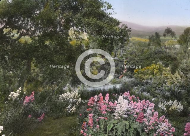 "El Cerrito," Edward Larned Ryerson Jr. house, Hot Springs Road, Santa Barbara, California, 1917. Creator: Frances Benjamin Johnston.