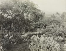 "El Cerrito," Edward Larned Ryerson Jr. house, Hot Springs Road, Santa Barbara, California, 1917. Creator: Frances Benjamin Johnston