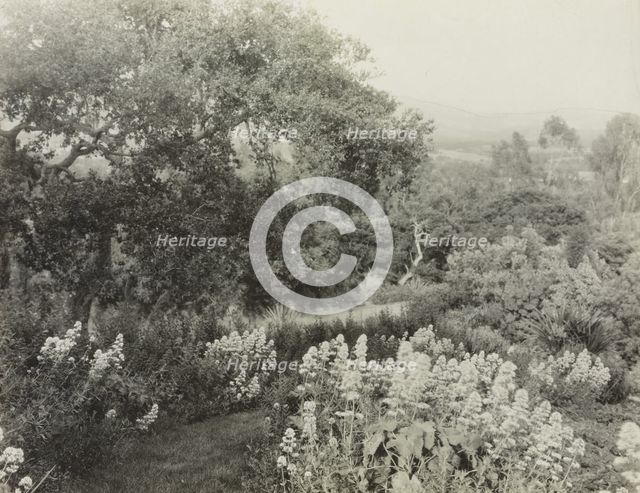 "El Cerrito," Edward Larned Ryerson Jr. house, Hot Springs Road, Santa Barbara, California, 1917. Creator: Frances Benjamin Johnston.