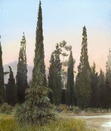 "El Fureidis," James Waldron Gillespie house, Parra Grande Lane, Montecito, California, 1917. Creator: Frances Benjamin Johnston