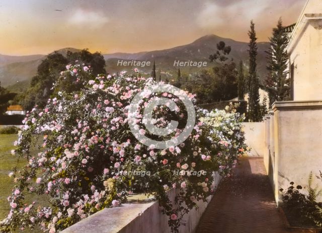"El Fureidis," James Waldron Gillespie house, Parra Grande Lane, Montecito, California, 1917. Creator: Frances Benjamin Johnston.