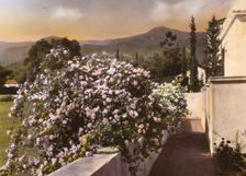 "El Fureidis," James Waldron Gillespie house, Parra Grande Lane, Montecito, California, 1917. Creator: Frances Benjamin Johnston