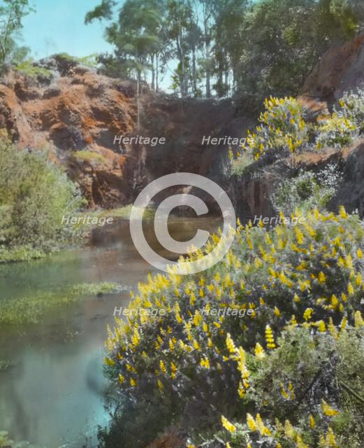"El Fureidis," James Waldron Gillespie house, Parra Grande Lane, Montecito, California, 1917. Creator: Frances Benjamin Johnston.