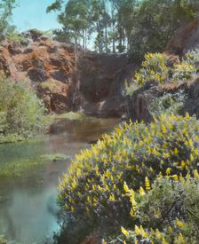 "El Fureidis," James Waldron Gillespie house, Parra Grande Lane, Montecito, California, 1917. Creator: Frances Benjamin Johnston