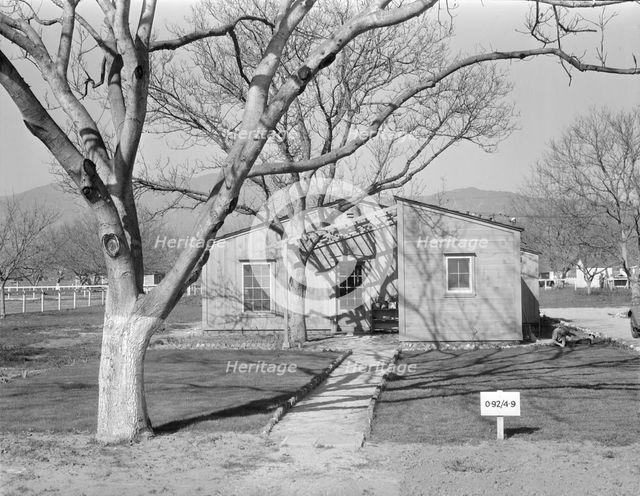 El Monte federal subsistence homesteads, California, 1936. Creator: Dorothea Lange.