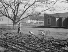 El Monte federal subsistence homesteads, California, 1936. Creator: Dorothea Lange