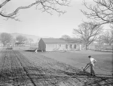 El Monte federal subsistence homesteads, California, 1936. Creator: Dorothea Lange