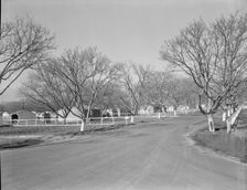 El Monte federal subsistence homesteads, California, 1936. Creator: Dorothea Lange