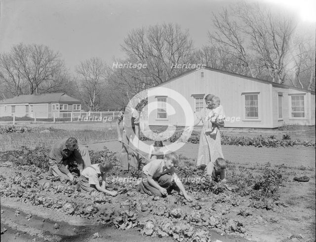 El Monte federal subsistence Homesteads, California, 1936. Creator: Dorothea Lange.
