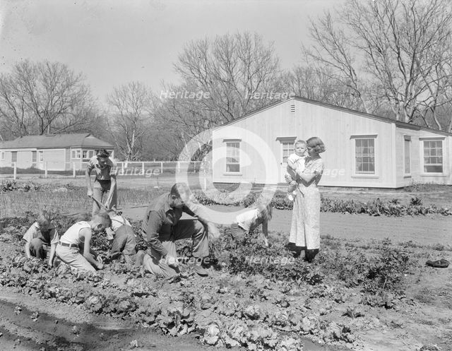 El Monte federal subsistence Homesteads, California, 1936. Creator: Dorothea Lange.