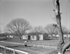 El Monte federal subsistence Homesteads, California, 1936. Creator: Dorothea Lange