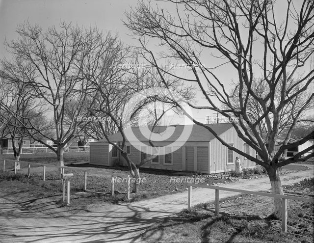 El Monte federal subsistence Homesteads, California, 1936. Creator: Dorothea Lange.