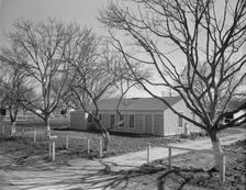 El Monte federal subsistence Homesteads, California, 1936. Creator: Dorothea Lange