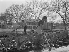 El Monte federal subsistence homesteads, California, 1936. Creator: Dorothea Lange