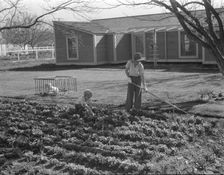 El Monte federal subsistence homesteads, California, 1936. Creator: Dorothea Lange