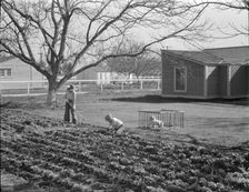 El Monte federal subsistence homesteads, California, 1936. Creator: Dorothea Lange