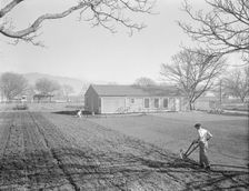 El Monte federal subsistence homesteads, California, 1936. Creator: Dorothea Lange
