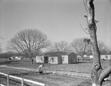 El Monte federal subsistence Homesteads, California, 1936. Creator: Dorothea Lange