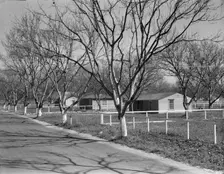 El Monte federal subsistence housing - 100 homes all occupied, California, 1936. Creator: Dorothea Lange