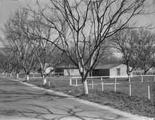 El Monte federal subsistence housing - 100 homes all occupied, California, 1936. Creator: Dorothea Lange