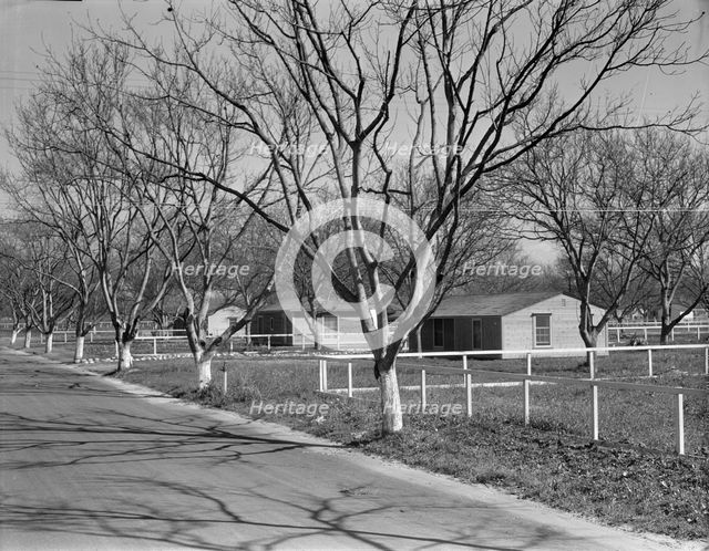 El Monte federal subsistence housing - 100 homes all occupied, California, 1936. Creator: Dorothea Lange.