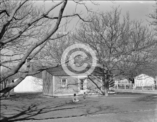 El Monte federal subsistence housing - 100 homes all occupied, California, 1936. Creator: Dorothea Lange.