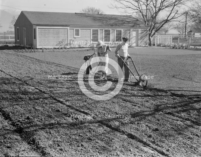 El Monte federal subsistence housing, California, 1936. Creator: Dorothea Lange.