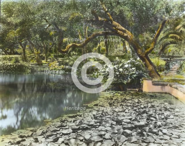 "El Mirador," J. Ogden Armour house, Cold Springs Road, Montecito, California, 1917. Creator: Frances Benjamin Johnston.