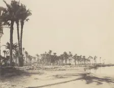 El-Nâcérah, Dattiers, Rives du Nil et Barques, 1851-52, printed 1853-54. Creator: Félix Teynard