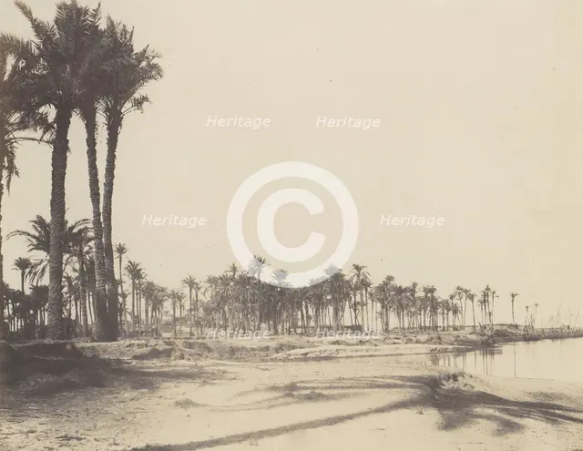 El-Nâcérah, Dattiers, Rives du Nil et Barques, 1851-52, printed 1853-54. Creator: Félix Teynard.