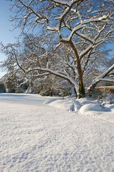 Eltham Palace, Court Yard, Eltham, Greenwich, London, 2009. Creator: Derek Kendall