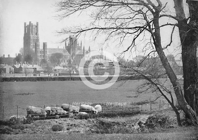 'Ely Cathedral', c1896. Artist: GW Wilson and Company.